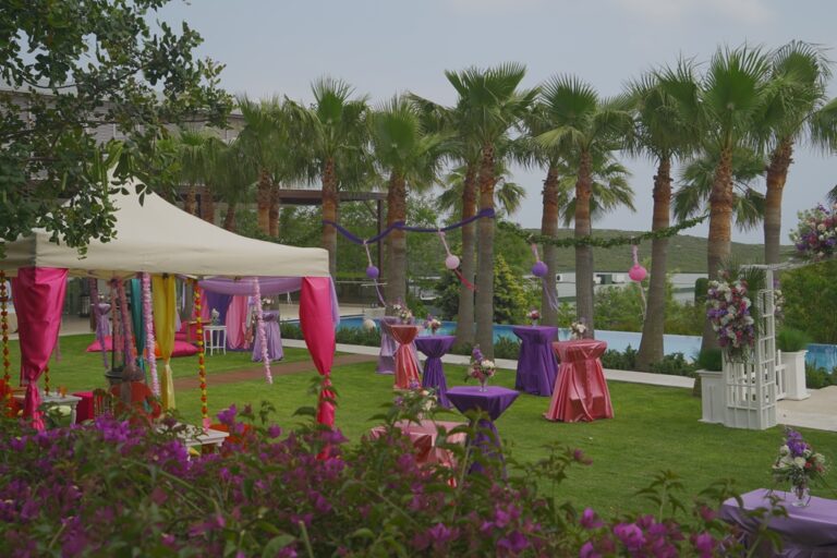 DSC04659 (1)